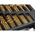 HSS TiN grąžtų rinkinys metalui, 170 vnt., box(5)