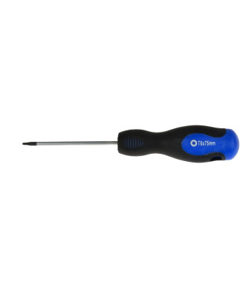 Atsuktuvas GEKO, TORX T6, 75 mm (10/100)