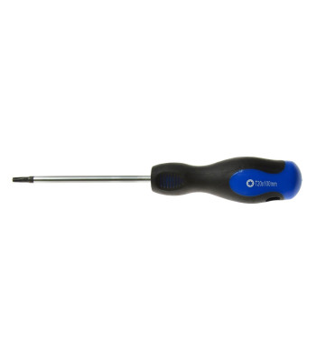 Torx atsuktuvas GEKO, T20 x 100 mm (12/120)