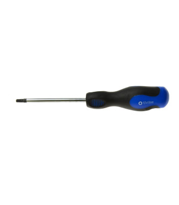 GEKO TORX atsuktuvas varžtams, T27 × 100 mm (10/100)