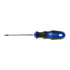 Torx atsuktuvas GEKO (10/100), T6 × 75 mm