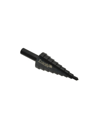 Pakopinis grąžtas HSS M2 TiAlN 4-20mm (200)