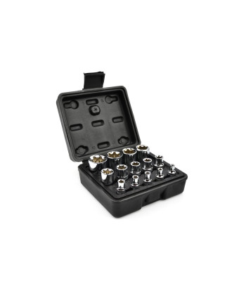 Torx galvučių rinkinys, 14 vnt. E4–E24 (20)