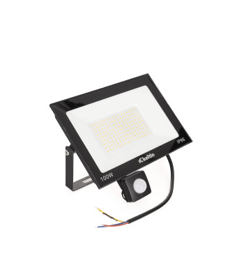LED prožektorius su judesio jutikliu, 100W, šilta balta 2700K, 22,5 x 15,5 cm
