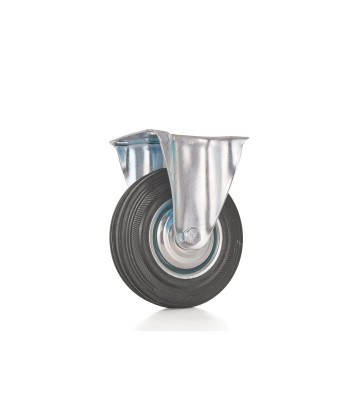 Fiksuotas ratukas 100 kg 125 mm