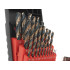 Metalo grąžtų rinkinys HSS 25 vnt. (5/10), 1,0–13,0 mm