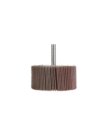Veleninis lamelinis šlifavimo diskas P120 (10/200), 60x30x6 mm