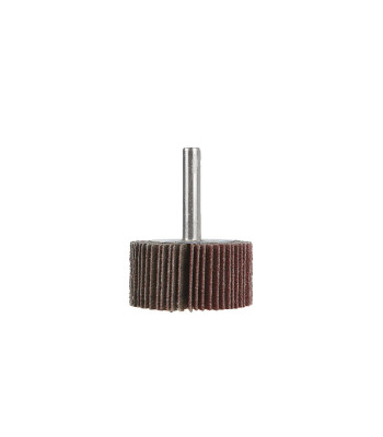 Žiedlapinis šlifavimo diskas su koteliu, 40x20x6 mm, P120 (50/100)