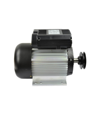 Vienfazis elektrinis variklis 2.2KW/3KM 230V