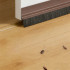Lipni durų šluotelė, balta 2 cm x 100 cm