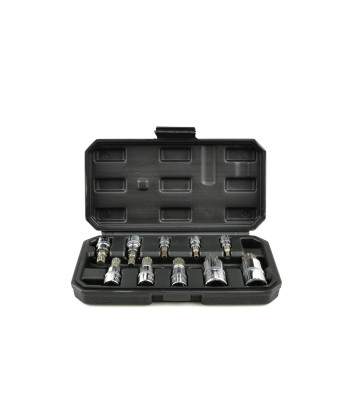 Spline galvučių komplektas, 10 vnt., 1/4″, 3/8″, 1/2″, M4–M18