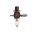 Oro sausintuvas su oro filtru ir slėgio reduktoriumi 1/4″