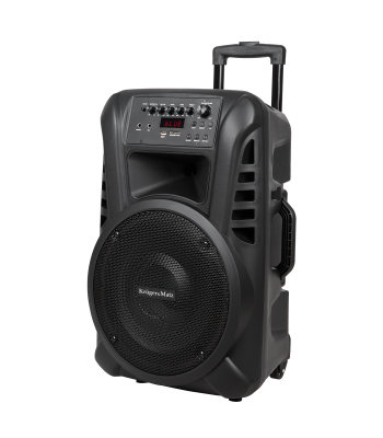 Aktyvioji kolonėlė su 2 belaidžiais UHF mikrofonais, SD, Bluetooth, FM ir USB, 40 W, Kruger&Matz KM 1712
