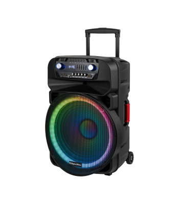 Aktyvi garso kolonėlė su 2 belaidžiais UHF mikrofonais, SD, Bluetooth, FM, USB ir LED, 60 Watt, Kruger&Matz KM 1718