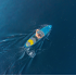 SUP lenta, mėlyna, Rebel Active RBA4500