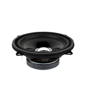 Garsiakalbis su tvirtinimo auselėmis DBS-G1301 4 Ohm 5"