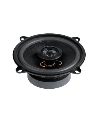 Garsiakalbis 2WAY 100W WS-1312TW 5"