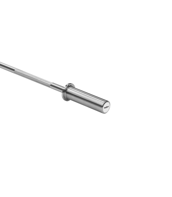 Olimpinis tiesus grifas Rebel Active RBA-2204, 50 mm, 120 cm, 6 kg