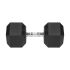 Gumuotas ketaus hantelis HEX REBEL ACTIVE 37,5 kg