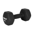 Ketaus neopreniniai hanteliai HEX REBEL ACTIVE, 2 x 10 kg