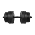 Reguliuojami bituminiai hanteliai REBEL ACTIVE 1x20kg