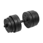 Reguliuojami bituminiai hanteliai REBEL ACTIVE 1x20kg