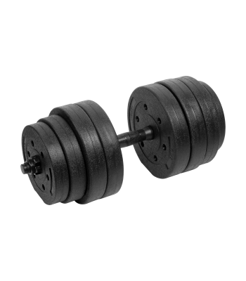 Reguliuojami bituminiai hanteliai REBEL ACTIVE 1x20kg
