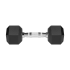 Guminiai šešiakampiai ketaus hanteliai HEX Rebel Active 2x5 kg