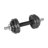 Reguliuojamų ketaus hantelių rinkinys su grifu lagamine, Rebel Active, 15 kg