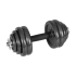 Reguliuojamų ketaus hantelių rinkinys lagamine su jungtimi REBEL ACTIVE, 30 kg