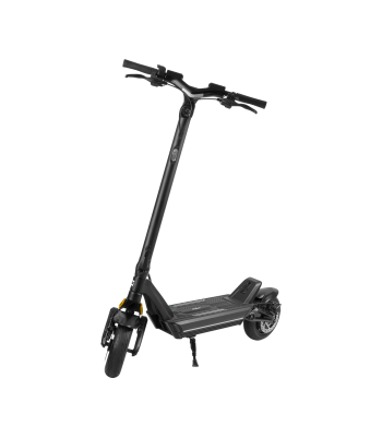 Elektrinis paspirtukas REBEL FAST WHEELS PRO MAX