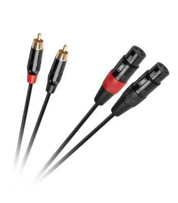 Cabletech jungiamasis kabelis, XLR–2RCA, 1m