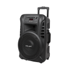 Aktyvioji kolonėlė su 2 belaidžiais mikrofonais, SD, Bluetooth, USB, 12