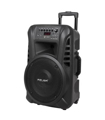 Aktyvioji kolonėlė su 2 belaidžiais mikrofonais, SD, Bluetooth, USB, 12" 40 W