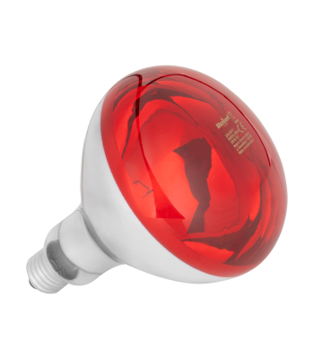 Infraraudonųjų spindulių lempa Rebel R125, 150 W, 220–240 V