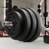 Bituminis svorio diskas Rebel Active, 20 kg, 31 mm
