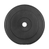 Bituminių svorių rinkinys su klasikiniais diskais, REBEL ACTIVE, 2x10kg, 31mm anga