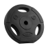 Bituminiai svarmenų diskai su rankenomis Rebel Active RB-2123, 2 x 10 kg, 31 mm