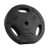 Bituminių svorių rinkinys su rankenomis Rebel Active, 2 x 15 kg, 31 mm
