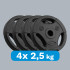 Bituminių svorio diskų komplektas su rankenomis REBEL ACTIVE RBA-2121, 4x2.5kg, 31 mm