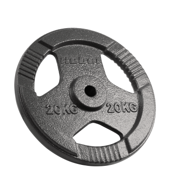 Ketaus svorio diskas su rankenomis REBEL ACTIVE RBA-2137, 20 kg, 31 mm