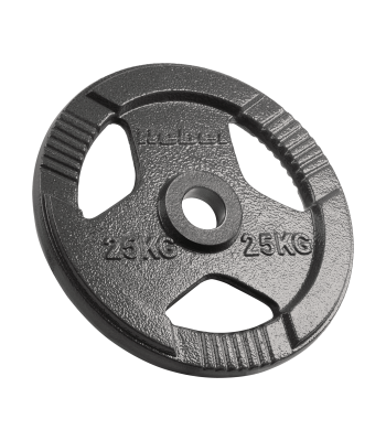 Olimpinis ketinis svorio diskas su rankenomis Rebel Active, 25 kg, 51 mm