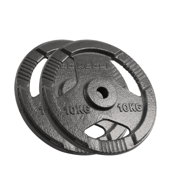 Ketaus svorių diskų rinkinys su rankenomis REBEL ACTIVE RBA-2135, 2 x 10 kg, 31 mm