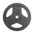 Ketaus svorių diskų rinkinys su rankenomis REBEL ACTIVE RBA-2135, 2 x 10 kg, 31 mm