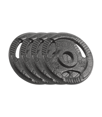 Ketaus svarelių komplektas su rankenomis Rebel Active, RBA-2132, 4 x 1,25 kg, angos skersmuo 31 mm