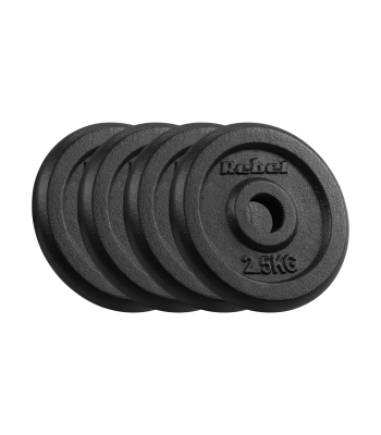 Ketaus svarmenų diskų rinkinys Rebel Active – 4 x 2,5 kg, skylė 31 mm, RBA-2127