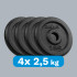 Ketaus svarmenų diskų rinkinys Rebel Active – 4 x 2,5 kg, skylė 31 mm, RBA-2127
