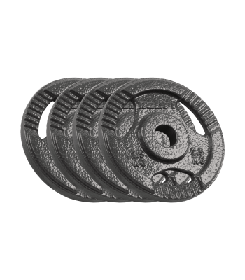 Ketaus svarmenų komplektas su rankenomis Rebel Active, RBA-2133, 4 x 2,5 kg, 31 mm