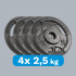 Ketaus svarmenų komplektas su rankenomis Rebel Active, RBA-2133, 4 x 2,5 kg, 31 mm