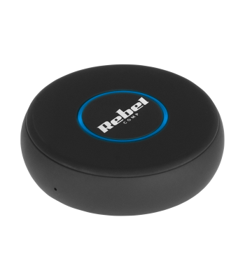 Bluetooth garso imtuvas Rebel B20